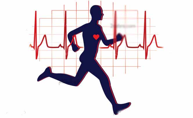 طول عمر خود را با این ورزش افزایش دهید