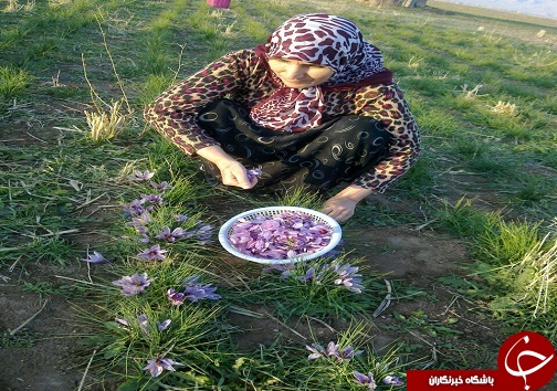وقتی سرانگشتان هنر در دل زمین جوانه می کارد