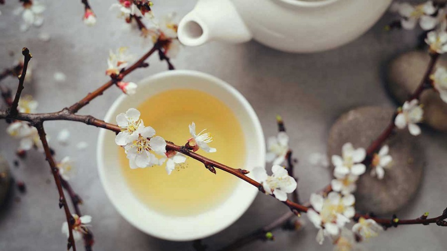 با چای سبز، چای سفید و چای سیاه و خواص هر کدام از آنها آشنا شوید