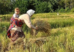 رشد چشمگیر پرداخت حق بیمه اجتماعی روستاییان در دو ماه نخست سال ۹۷