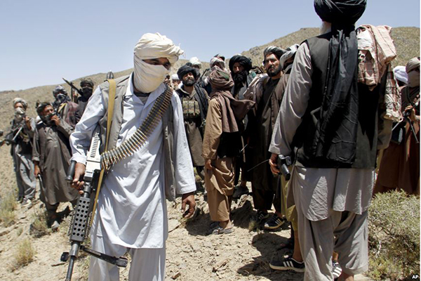 رئیس کمیسیون نظامی گروه طالبان در فاریاب کشته شد