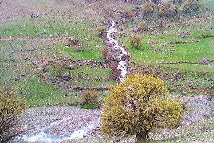 روستای بُرج کجاست؟ + تصاویر