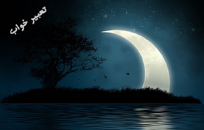 دیدن سگ در خواب چه تعبیری دارد؟