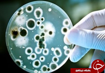 همه آنچه درباره تب مالت، یک بیماری هزارچهره نمی&zwnj;دانید