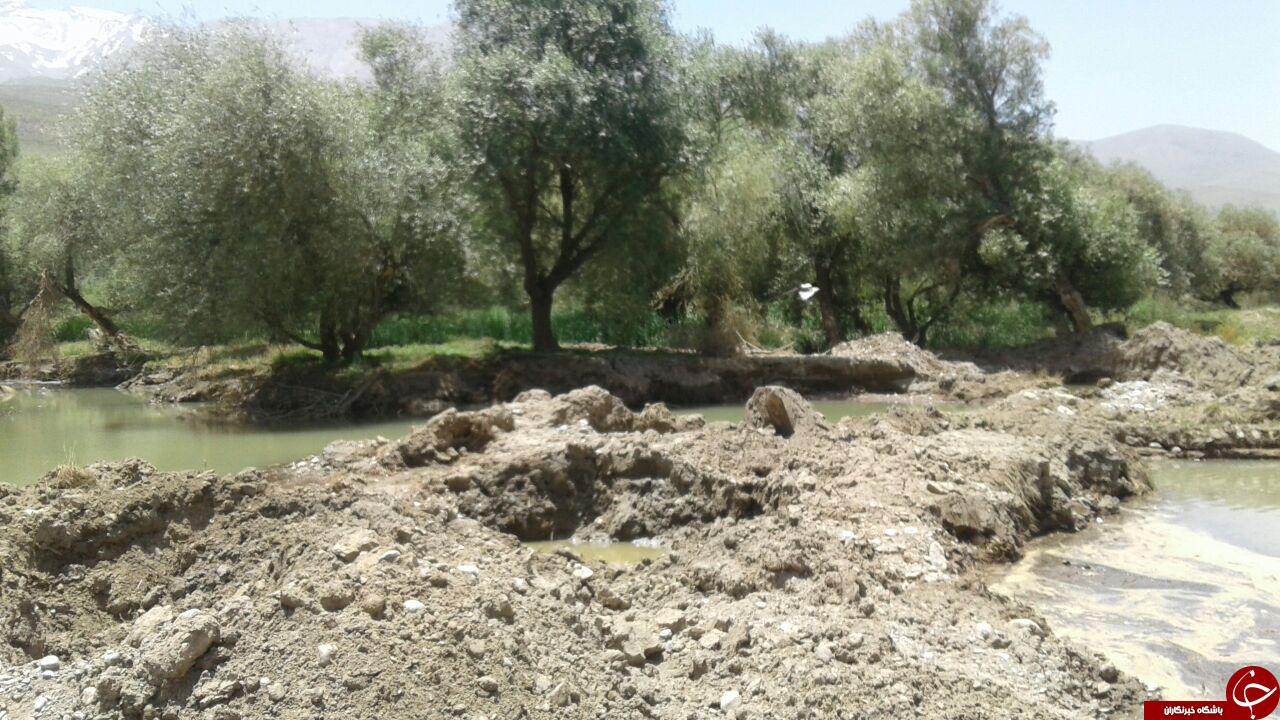 نابودی محیط زیست در روستای طیان + تصاویر