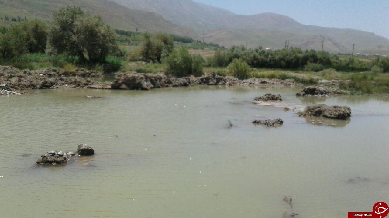 نابودی محیط زیست در روستای طیان + تصاویر