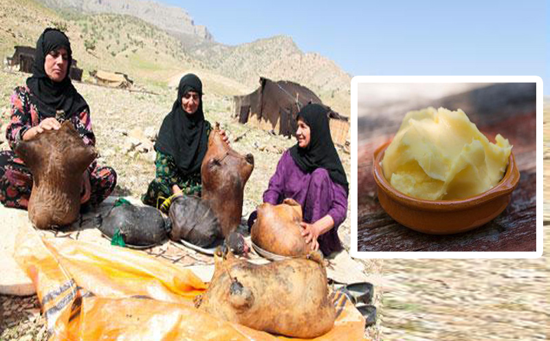 تولیدسالانه 465 تن روغن حیوانی توسط عشایر ایلام