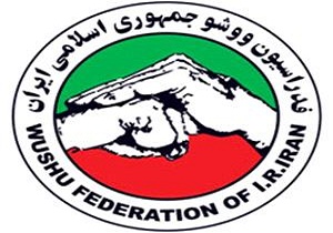 کسب داوری بین المللی ووشو توسط نماینده خراسان جنوبی 