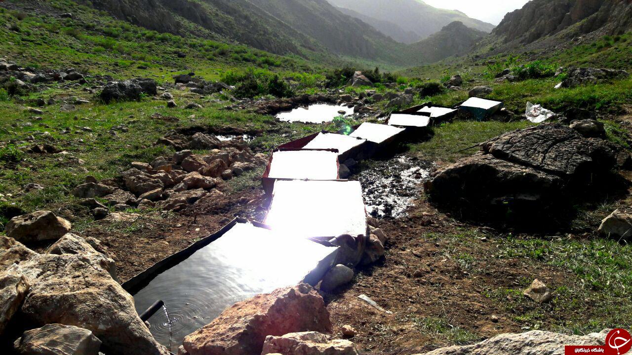 نگاهی به زندگی دامداران اسلام آبادعلیا در قاب دوبین + تصاویر