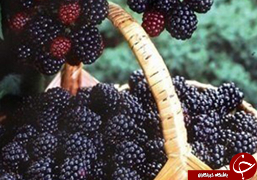 نگاهی گذرا به مهمترین رویداد&zwnj;های شنبه ۱۹ خرداد ماه در مازندران