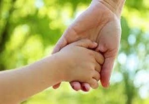 آموزش و مشاوره های لازم برای افزایش نرخ بارو ری