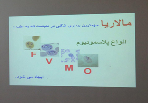 کارگاه آموزشی مالاریا تا ۲۰۲۰ در شلمزار