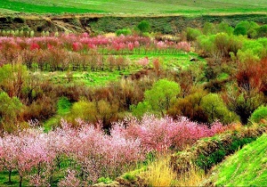 بهشتی نهفته در دل کوهستان + فیلم