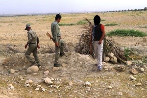 عزم جدی برخورد با شکارچیان پرندگان شکاری دراستان مرکزی / افزایش میزان جریمه ضرر و زیان رساندن به حیات وحش