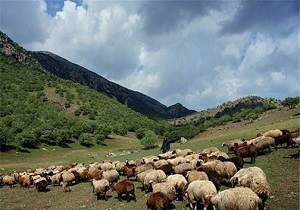 اخراج دامداران غیر مجاز از مراتع ازنا
