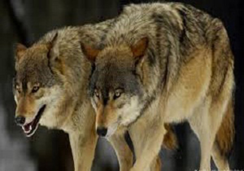 نگاهی گذرا به مهمترین رویداد&zwnj;های یکشنبه ۲۰ خرداد ماه در مازندران