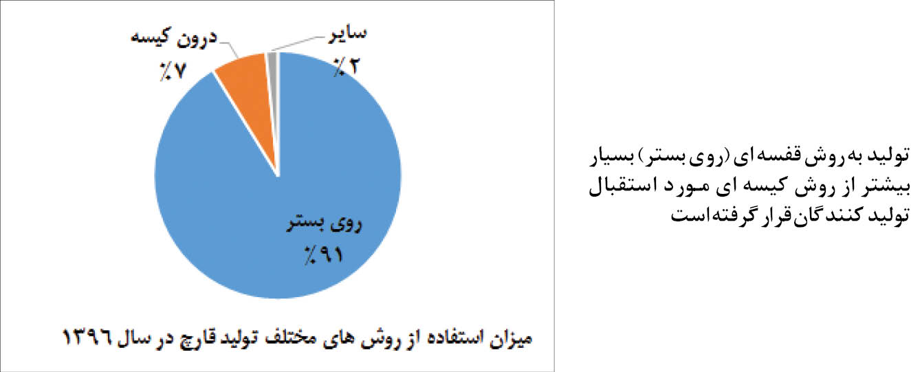 آمار قابل توجه کسب و کار تولید قارچ+ جدول آمار
