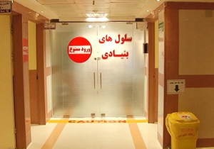 نجات جان نوجوان ۱۷ ساله با سلول‌های بنیادی خونساز یک شهروند شیرازی
