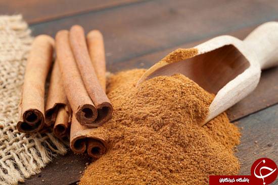 از دارچین و چربی سوزی اش چه می&zwnj;دانید؟! +رژیم لاغری دارچین