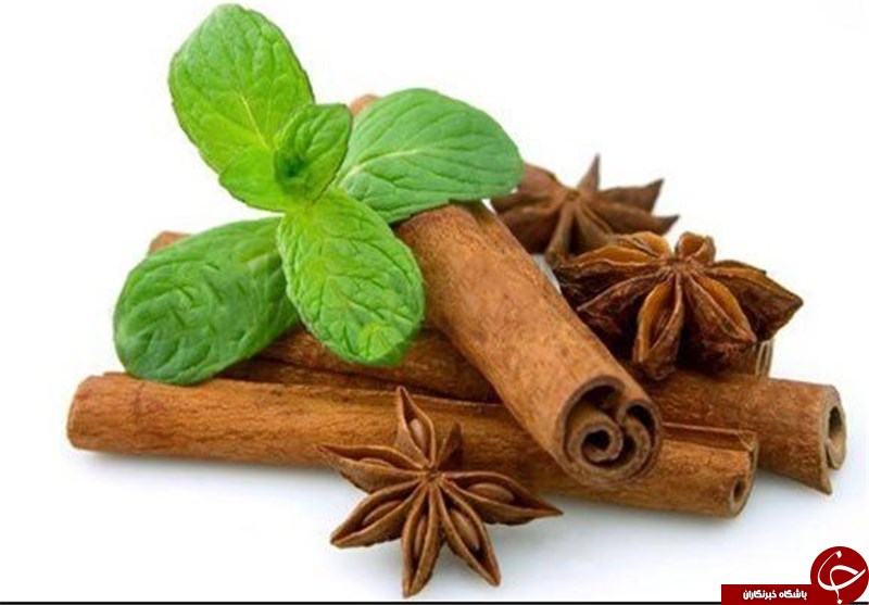 از دارچین و چربی سوزی اش چه می&zwnj;دانید؟! +رژیم لاغری دارچین
