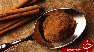 از دارچین و چربی سوزی اش چه می&zwnj;دانید؟! +رژیم لاغری دارچین