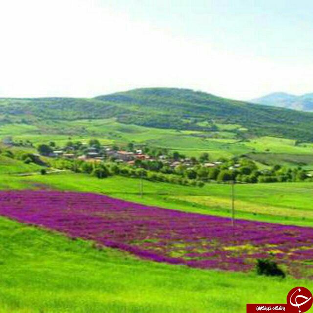 طبیعت بهاری و دوست&zwnj;داشتنی در &laquo;فت&zwnj;کش&raquo; + تصاویر