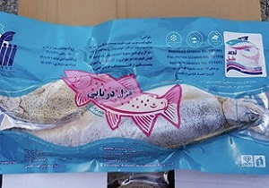 کشف و ضبط محموله ۳/۵ تنی ماهی فاسد در سنندج