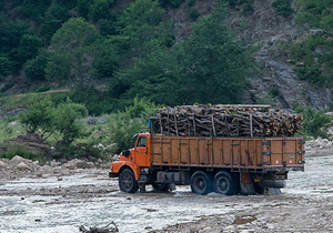 کشف بیش از ۵ تن چوب قاچاق در بندرگز