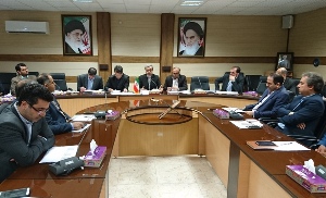 اهتمام جدی دستگاه‌های اجرایی گیلان برای پرداخت تسهیلات اشتغالزایی