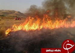 حریق در مزارع کشاورزی روستای دارایی و دیناروند خرم آباد+عکس