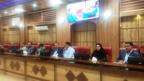 بخشودگی جرائم بیمه ای در راستای حمایت از کالای ایرانی است