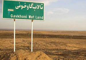 تبعات خشکی تالاب گاوخونی بخش عظیمی از کشور را در بر خواهد گرفت