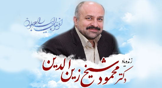 مراسم یادبود معاون نوآوری و تجاری سازی فناوری معاونت علمی برگزار شد