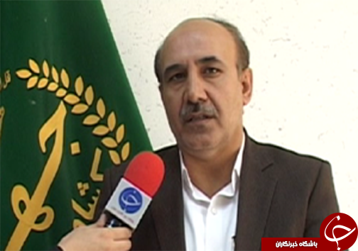کاشت ارقام اصلاح شده نخود در لرستان/ تغییر سیستم کشت از بهار به پاییزه  برای کاهش مصرف آب در بخش کشاورزی + تصاویر