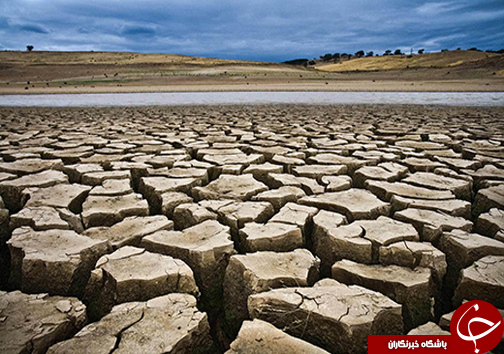 کاشت ارقام اصلاح شده نخود در لرستان/ تغییر سیستم کشت از بهار به پاییزه  برای کاهش مصرف آب در بخش کشاورزی + تصاویر