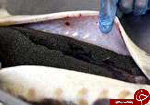 نگاهی گذرا به مهمترین رویداد&zwnj;های دوشنبه ۲۱ خرداد ماه در مازندران