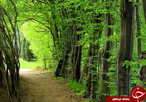نگاهی گذرا به مهمترین رویداد&zwnj;های دوشنبه ۲۱ خرداد ماه در مازندران