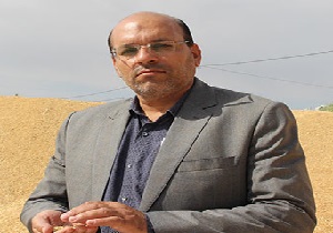 کاهش ۱۰ درصدی کشت محصول زراعی در ابرکوه