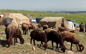 آغاز کوچ عشایر به مراتع سهند درآذربایجان‌شرقی