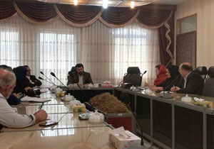 سفر هیات دیپلماتیک سفرا  ۱۱ کشور در تیرماه به  کرمان