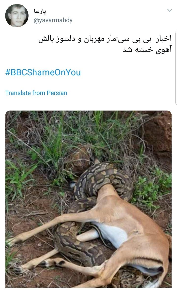 ابراز خشم کاربران از دروغ&zwnj;&zwnj;پردازی&zwnj;های وقیحانه شبکه بی&zwnj;بی&zwnj;سی با هشتگ #BBCshameonyou +تصاویر