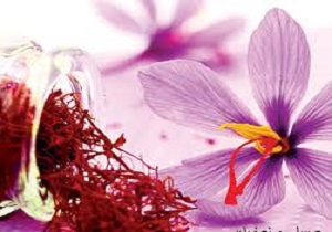معاملات آتی، قیمت زعفران را واقعی می‌کند
