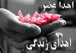 برخورد قطار با خودرویی که روی ریل توقف کرده بود + فیلم