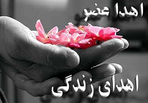 دختری که با غضروف اهدایی به قیافه قبل از تصادف بازگشت + فیلم