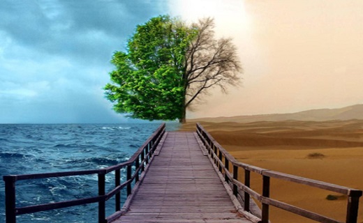 بیچاره&zwnj;ترین مردم در سرای آخرت چه کسانی هستند؟