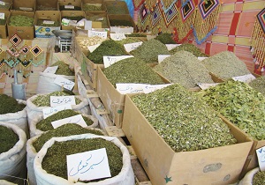 راه اندازی بزرگترین مرکز گیاهان دارویی ضد سرطان در سرعین