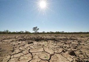۱۶ شهر سیستان و بلوچستان دچار تنش آبی است