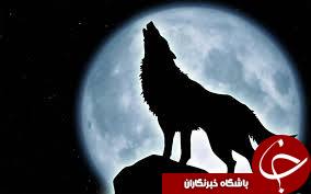 گرگینه&zwnj;ها از کجا آمده اند؟! / راست و دروغ انسان&zwnj;های گرگ نما
