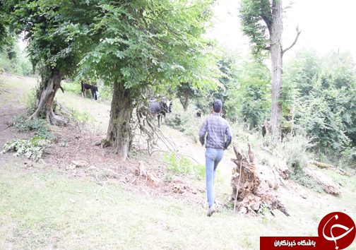 از سحر تا افطار با یک خانواده جنگل نشین