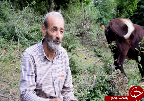 از سحر تا افطار با یک خانواده جنگل نشین